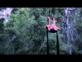 Billie Wilson Coffey Aerial Silks