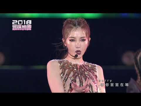 謝金燕Jeannie Hsieh官方[2018飛躍桃園直達美好跨年晚會]
