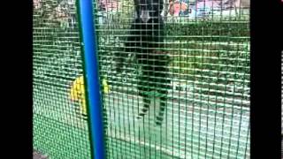 Rottweiler attacking people