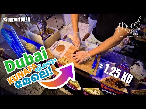 MujeebPatla™Vlogs and Vimal Narayanan