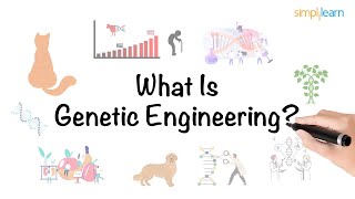 Genetic Engineering in 6 minutes | What Is Genetic Engineering? | Genetics | Simplilearn