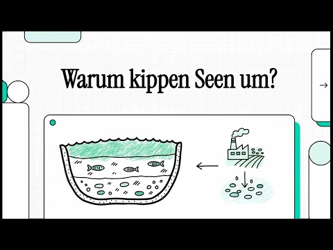 Warum kippen Seen um (Eutrophisierung) | EINFACH ERKLÄRT