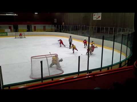 20170225 HC Slavia - Hvezda A Minihokej 2008 2.část