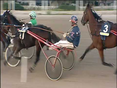 Trotto 04/10/2019 - 8ª corsa