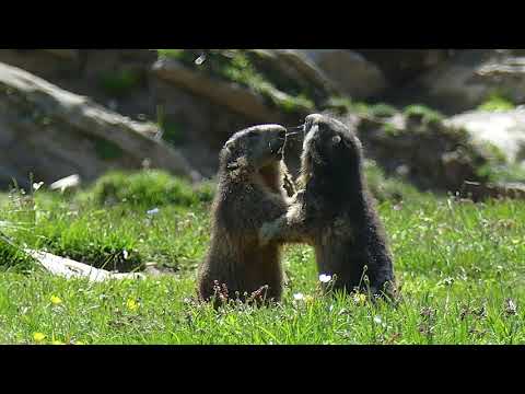 Val di Rhemes Mon Amour!