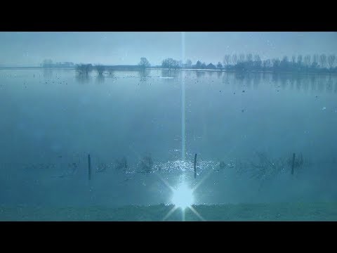 Tribute To The Cats Band /  Dreams