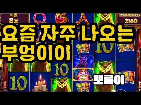 [슬롯][제보영상][닉네임:뽀룩이]마담 1100배