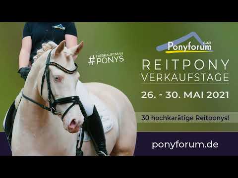 4j. Wallach v. Olivier K WE