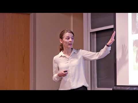 Lightning Talks: Professor Inés Ibáñez