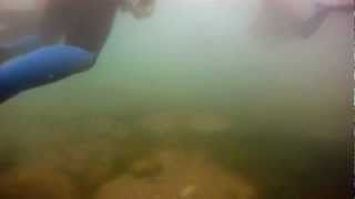 preview picture of video 'Buceo en las Lagunas de Ruidera'