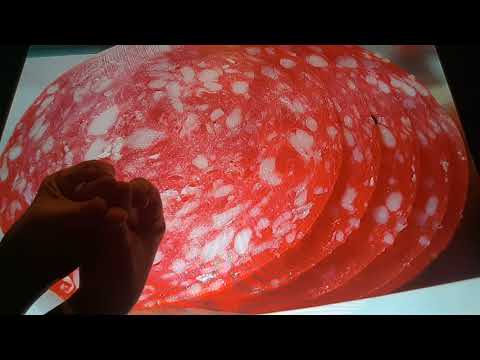 Horacio the handsnake - National Salami Day