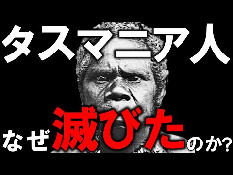 オーストラロミメトゥスについて詳しく解説