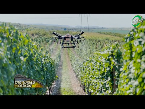 Emisiunea "Din lumea satului" - 23 noiembrie 2025