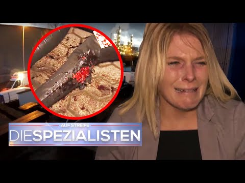 AUTSCH 😣 Frau wird von aggressivem Hund ATTACKIERT 🩸 ​| Die Spezialisten | SAT.1