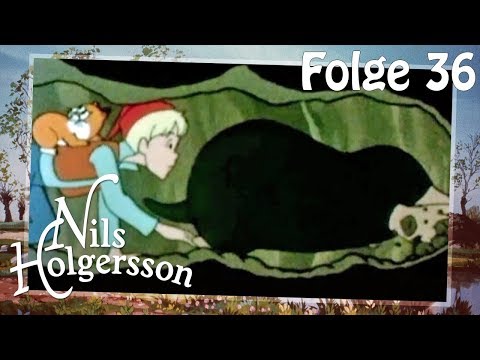 Nils Holgersson 🌱  Folge 36: Der Streit der Vögel 🌱 Die Klassik-Serie