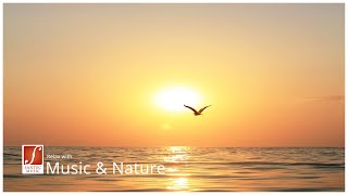 Entspannungsmusik mit Panflöte, Harfe und Streichorchester - Moments of Silence (Santec Music)