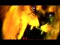 Shera Films 1998 Pakistani Remaker