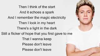 Niall Horan - Flicker (Lyrics)