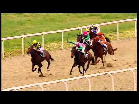 rm 20160408 05 p lunedor