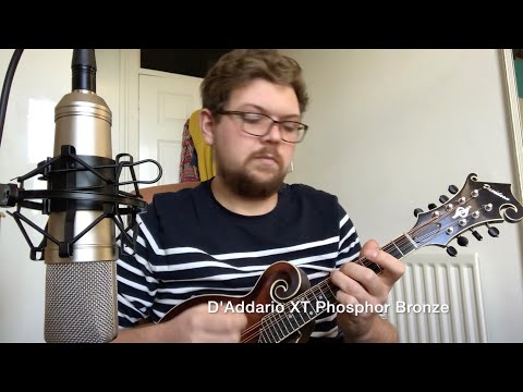 String comparison review -  D'Addario XT vs Flatwound