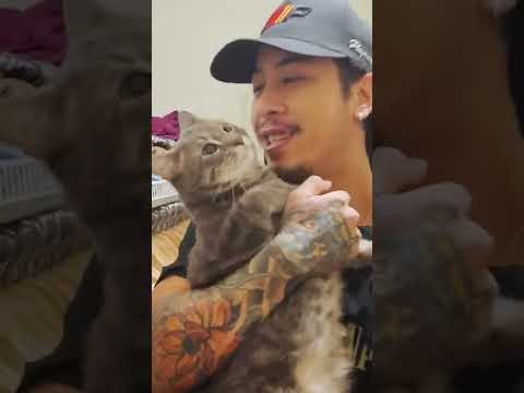 Did The Cat Survive The Fire?!😬