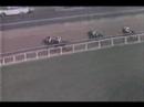 Buckpasser - 1966 Jockey Club Gold Cup