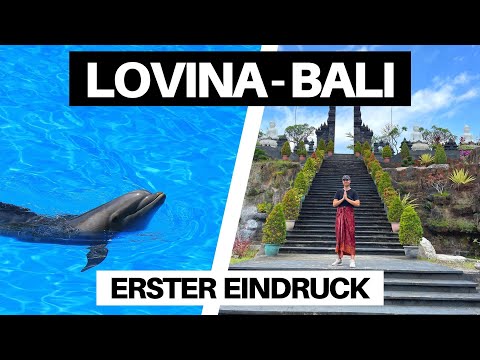 LOVINA - Bester Ort im Norden Balis? | Bali Vlog 🇮🇩🌴