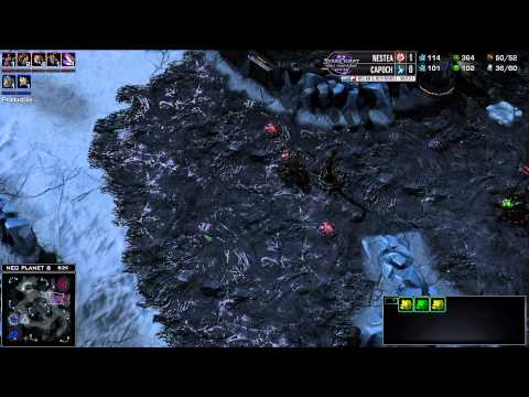 Nestea vs Capoch - Game 2 - WCS AM Challenger League Round 3
