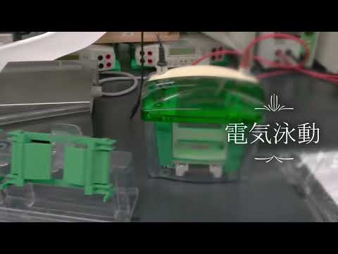 食資源利用学研究室（旧・食品工学研究室）