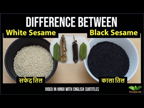 Natural bps black sesame seeds