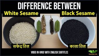 Sesame Seeds | Difference between White Sesame and Black Sesame | सफ़ेद तिल और काला तिल |  #104