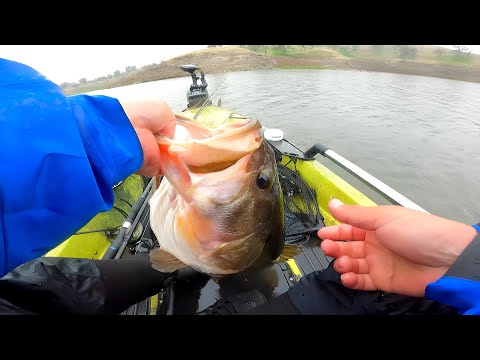 Big Bass Compilation