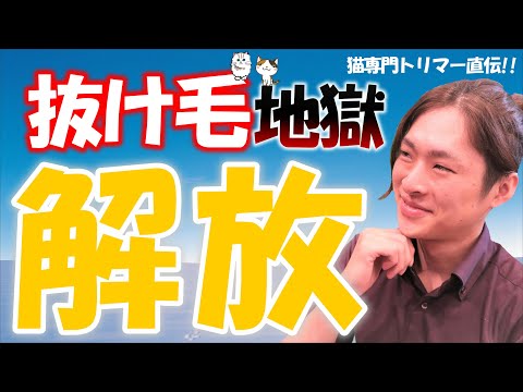 猫の抜け毛を防ぐ家庭療法