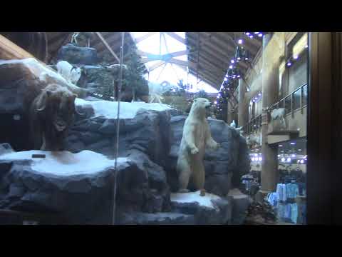 AMAZING Schindler HT 330A Hydraulic Elevators @ Cabela's, Hoffman Estates, IL