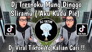 Download lagu DJ TRESNOKU MUNG DINGGO SLIRAMU SENG TAK SAYANG  | DJ AKU KUDU PIE REMIX MENGKANE VIRAL TIKTOK 2026  mp3