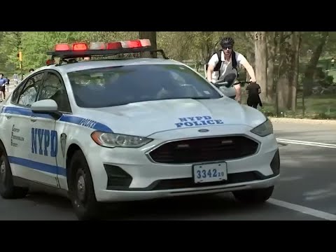 NYPD arrest man in theft, destruction of woman's phone in Central Park