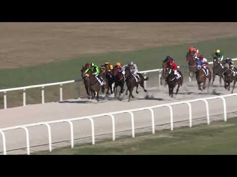 2019.03.31. 06. futam - NYERETLENEK VERSENYE (V.kat.)(szintetikus pálya)