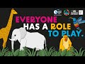 World Water Day 2023 Animation Starring The Hummingbird