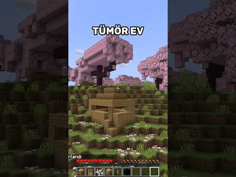 Minecraft 2025 en iyi evler 😍 #minecraft #mc #shorts #edit #rraenee