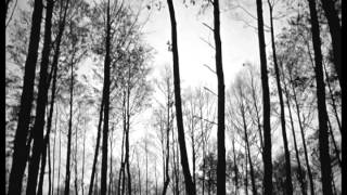 Ivan's Childhood & Atmosphere