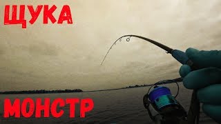 Рыбалка на доне в ноябре