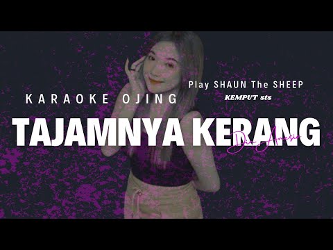 TAJAMNYA KERANG - DIN ANESIA - KARAOKE NO VOCAL
