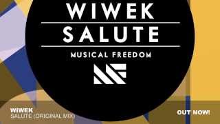 Wiwek - Salute (Original Mix)