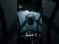 New Zealand Deep Sea Discovery Massive Reptilian Predator Caught On Camera DeepSeaMonster