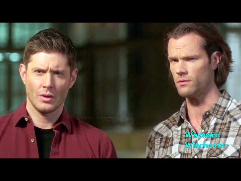 Sam & Dean Discover A Wood Nymph In Their Bunker! - Supernatural 15x14 Breakdown