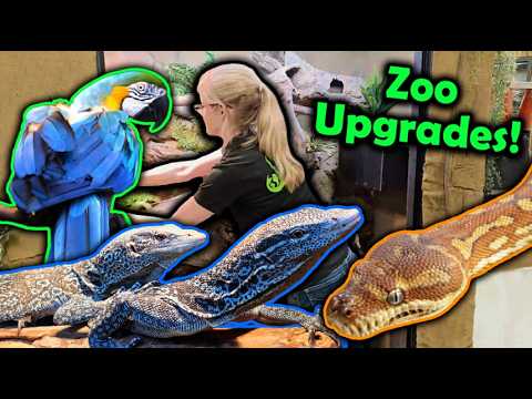 Updating Animal Enclosures at our Zoo!