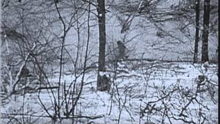 The Ghost Front (December 1944 - March 1945)