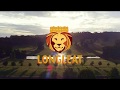 Virtual Longleat Safari