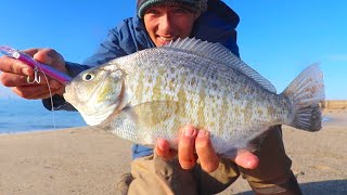 NEW LURE for SURF FISHING on the California Coast (Success!)