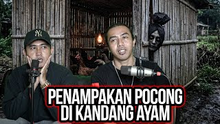 Download lagu THE APPEARANCE OF A POCONG IN THE CHICKEN COOP mp3 Download lagu THE APPEARANCE OF A POCONG IN THE CHICKEN COOP mp3